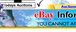 Ebay Auction Software image