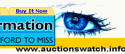 Ebay Auction Software image